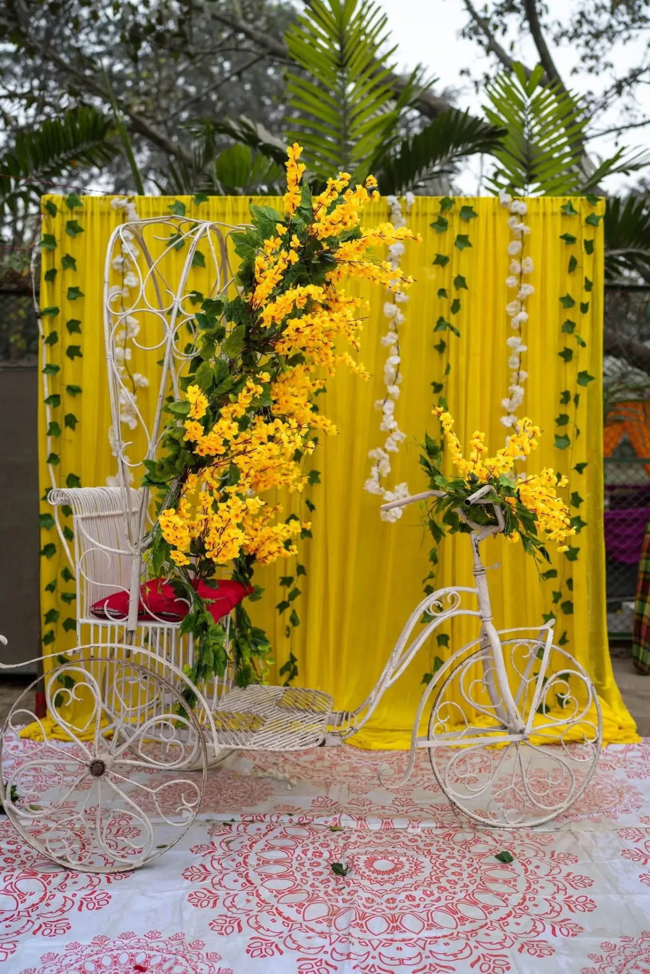 Yellow drape photo corner with vintage bicycle prop